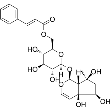 6'-O-Cinnamoyl harpagide Chemical Structure
