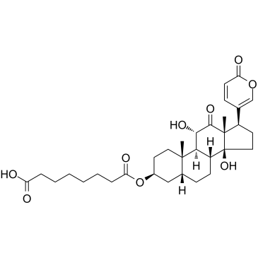 Arenobufagin 3-hemisuberate Chemical Structure