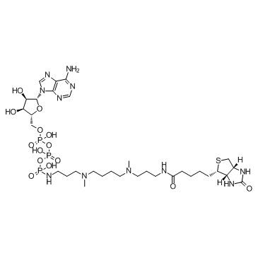 ATP-polyamine-biotin Chemical Structure