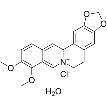 Berberine chloride hydrate Chemical Structure