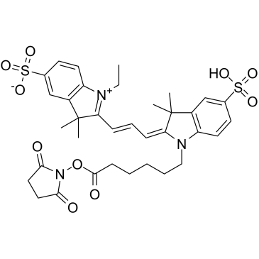 CY3-SE Chemical Structure