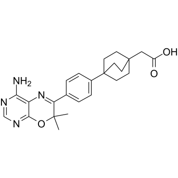 DGAT-1 inhibitor 2 Chemical Structure