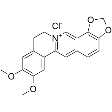Epiberberine chloride Chemical Structure