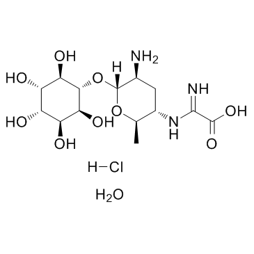 Kasugamycin hydrochloride hydrate Chemical Structure