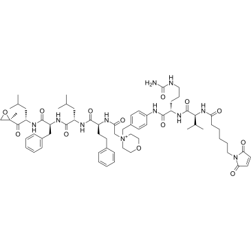 MC-Val-Cit-PAB-carfilzomib Chemical Structure