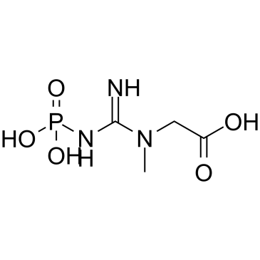 Phosphocreatine Chemical Structure
