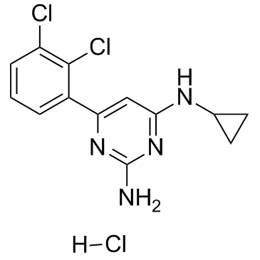 TH588 hydrochloride Chemical Structure