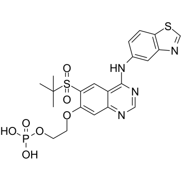 GSK2983559 free acid Chemical Structure