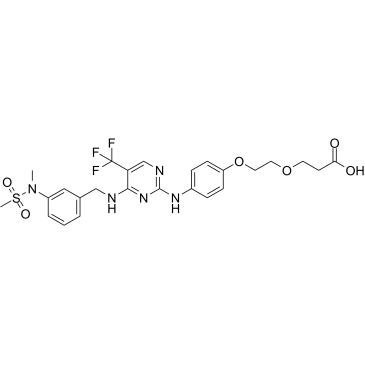 FAK ligand-Linker Conjugate 1 Chemical Structure