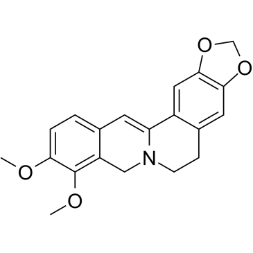 Dihydroberberine Chemical Structure