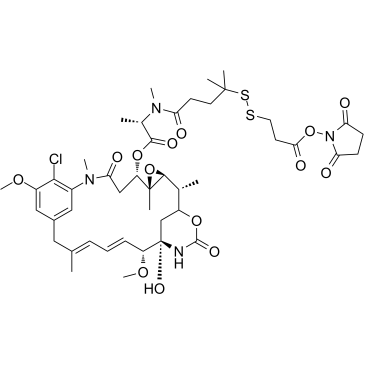 DM4-SPDP Chemical Structure
