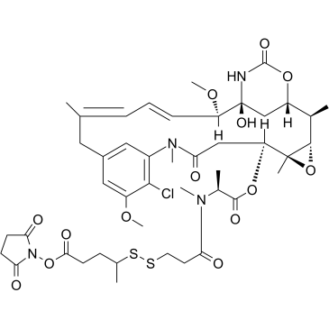 SPP-DM1 Chemical Structure