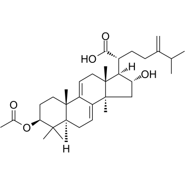 Dehydropachymic acid Chemical Structure