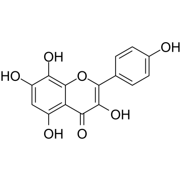 Herbacetin Chemical Structure