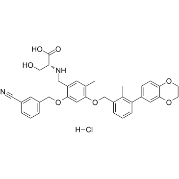BMS-1001 hydrochloride Chemical Structure