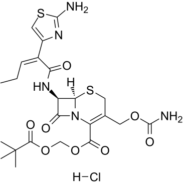 Cefcapene pivoxil hydrochloride Chemical Structure