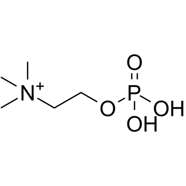 Phosphorylcholine Chemical Structure