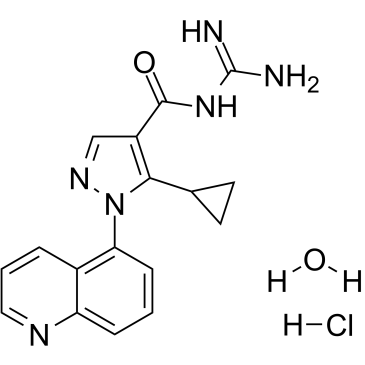 Zoniporide hydrochloride hydrate Chemical Structure