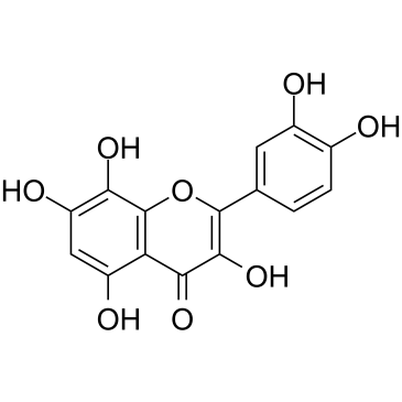 Gossypetin Chemical Structure