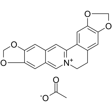Pseudocoptisine acetate Chemical Structure