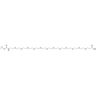 Boc-NH-PEG12-CH2CH2COOH Chemical Structure