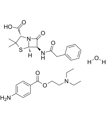 Penicillin G Procaine Chemical Structure