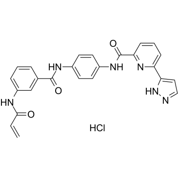 JH-X-119-01 hydrochloride Chemical Structure