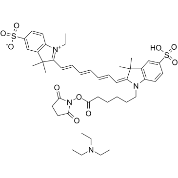 CY7-SE triethylamine Chemical Structure