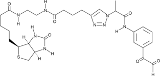 Citrulline-specific Probe-biotin Chemical Structure
