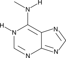 N6-Methyladenine Chemical Structure