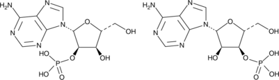 Adenosine 2'(3')-monophosphate (mixed isomers) Chemical Structure