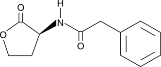 N-phenylacetyl-L-Homoserine lactone Chemical Structure