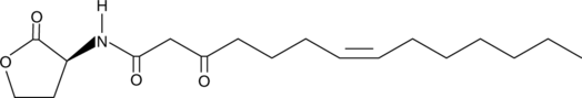 N-3-oxo-tetradec-7(Z)-enoyl-L-Homoserine lactone Chemical Structure