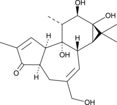 4-deoxy-4α-Phorbol Chemical Structure