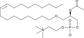 PAF C-18:1 Chemical Structure