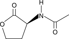 Acetyl-L-Homoserine lactone Chemical Structure