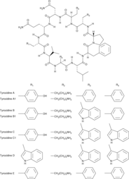 Tyrocidine Complex Chemical Structure