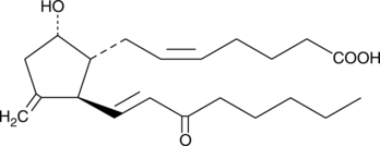 11-deoxy-11-methylene-15-keto Prostaglandin D2 Chemical Structure
