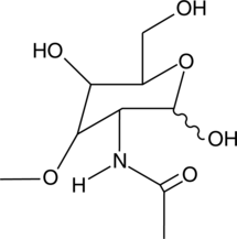 3-O-methyl-N-acetyl-D-Glucosamine Chemical Structure