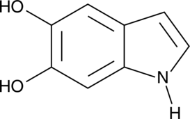 5,6-dihydroxy Indole Chemical Structure
