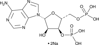 Adenosine 3',5'-diphosphate (sodium salt) Chemical Structure