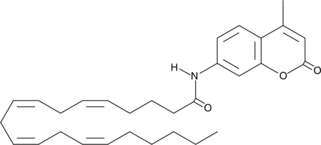 AMC Arachidonoyl Amide Chemical Structure