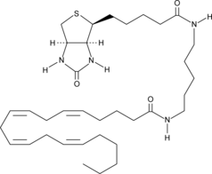 Arachidonic Acid-biotin Chemical Structure