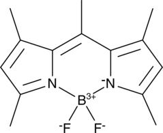 BODIPY 493/503 Chemical Structure