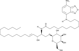 C12 NBD Galactosylceramide (d18:1/6:0) Chemical Structure