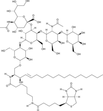 C6 Biotin Ganglioside GM1 (d18:1/6:0) Chemical Structure