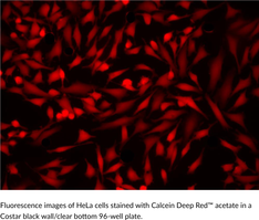 Calcein Deep Red™ Acetate Chemical Structure