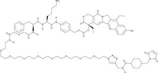 Cl2-SN-38 Chemical Structure