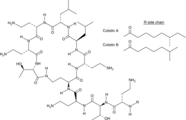 Colistin Chemical Structure