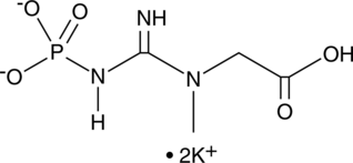 Creatine Phosphate (potassium salt) Chemical Structure